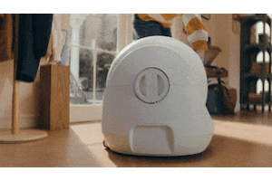 Animated GIF