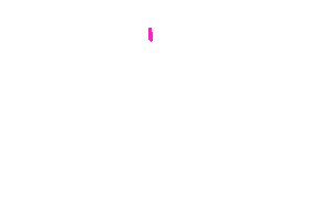 Festival Forma Sticker