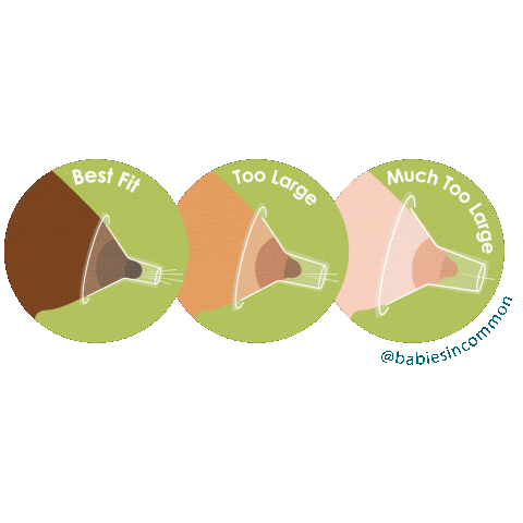 Flange Size Matters Sticker by babies in common