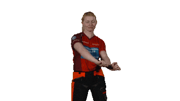 STIHL TIMBERSPORTS® Germany Sticker