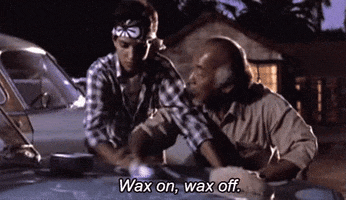 Karate Kid GIF by memecandy Karate Kid GIF by memecandy