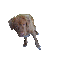 marioncremers Sticker