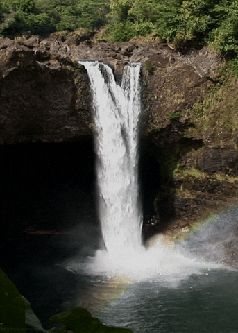 Hawaii Waterfall GIFs - Get the best GIF on GIPHY