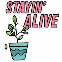 Staying Alive Dancing GIF by Patrick Hosmer