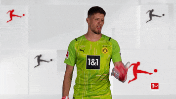 Excited Borussia Dortmund GIF by Bundesliga