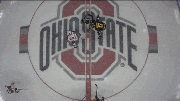 Hockey Bucks GIF by Ohio State Athletics