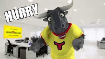 Del Toro Insurance GIF