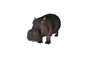 Sticker by Colégio IED