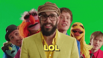ProggerXXI ok go muppet's show GIF
