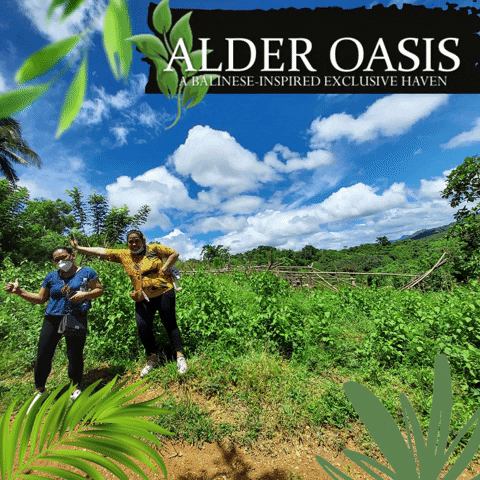 Alder Oasis GIF by BDDRC