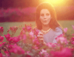 National Anthem GIF by Lana Del Rey