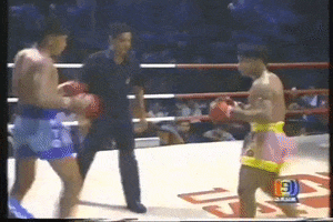 Kongtoranee GIF