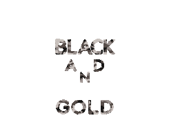 Logo Skull Sticker by Black and Gold