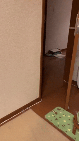 giphy.gif?cid=790b7611476d8ed49bbff37bfa