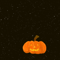 Jack O Lantern Halloween GIF by adobetrisha