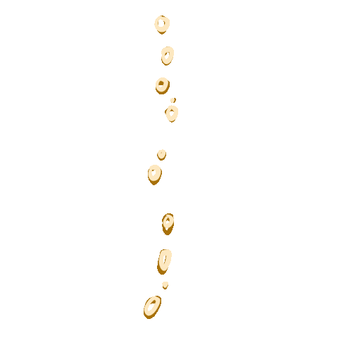Champagne Sticker
