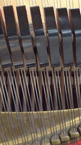glenbarkman  GIF