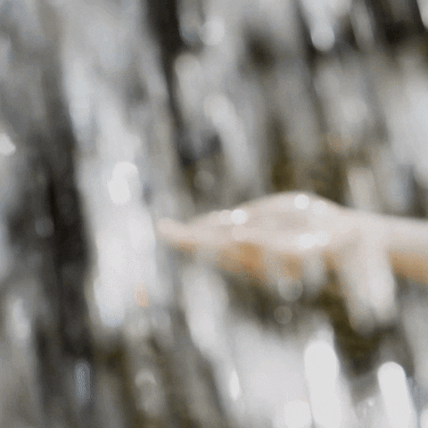 GIF by WPTV Newschannel 5 - West Palm Beach, FL