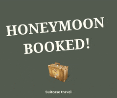 suitcasetravel honeymoon suitcase travel honeymoon booked honeymoon planning GIF