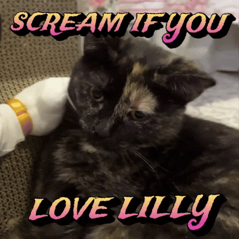 Silly Lilly GIF