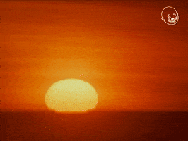 The Secret Life Of Plants Sun GIF by Eternal Family