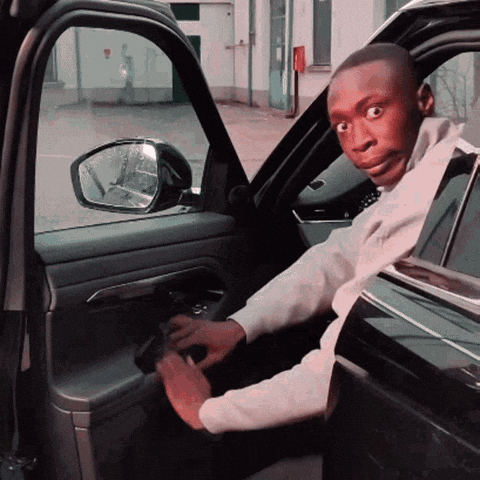 Car Door GIF