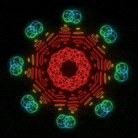 GIF by xponentialdesign