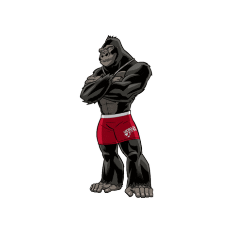 World Gym Plus 15 Sticker