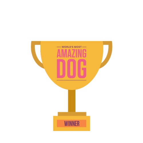 Winner Pets Sticker by World’s Most Amazing Dog