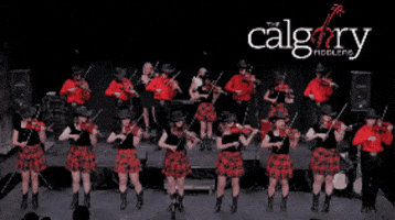 Cf GIF by Calgary Fiddlers