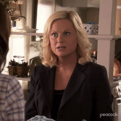 Season 3 Episode 6 GIF by Parks and Recreation
