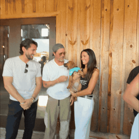 Brad Pitt GIF by Heart of the Beast