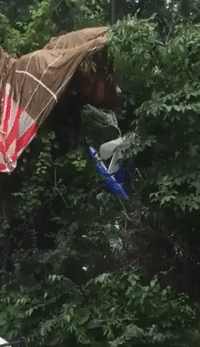 Ultralight Plane Crashes into Tree near Lake Fenton