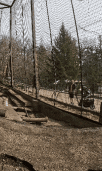 Watch Out Fun GIF by John Ball Zoo