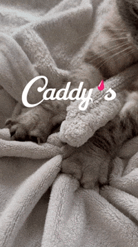 Caddy's IS