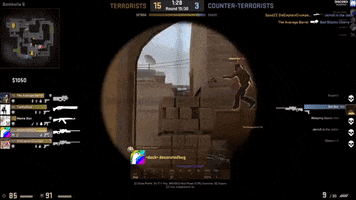 quacks  GIF