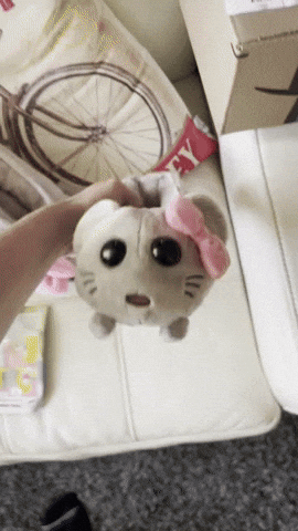 Animated GIF