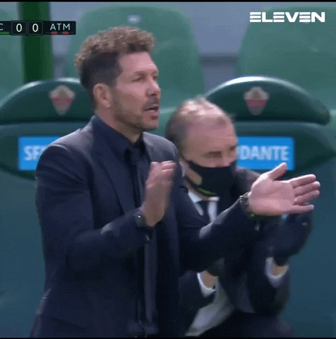Clapping Hands GIF by ElevenSportsBE
