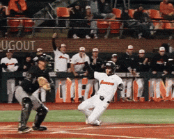 Slide GIF by Oregon State Baseball