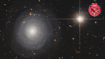 Shine Nasa GIF by ESA/Hubble Space Telescope