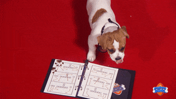 Hungry Football GIF by Puppy Bowl