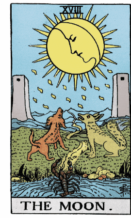 The Moon Major Arcana GIF by Luna y el Tarot