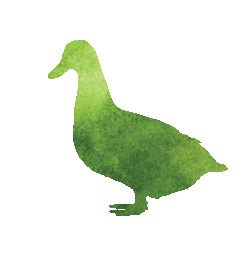 Duck Sticker by Belstra Milling Company