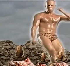 Dance Dancing GIF