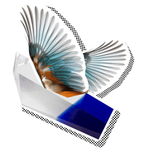 Finaleplzen Sticker by Festival Finále