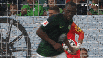 come on football GIF by VfL Wolfsburg