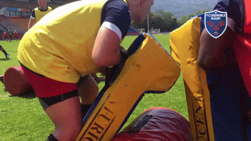 fc grenoble ruck GIF by FCG Rugby