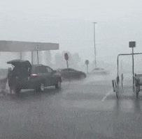 200.gif?cid=fc005b08c4f22bb08694be1a496c63db72b03bca1fcb223f&rid=200.gif&ct=g