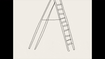 Black Cat Ladder GIF by Barbara Pozzi