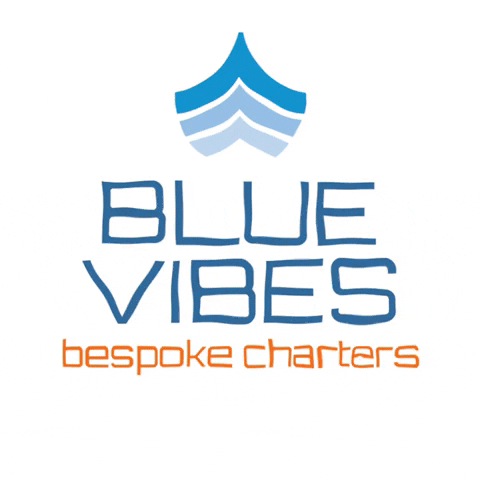 BlueVibesYachting yachting bluevibes blue vibes ribboats GIF